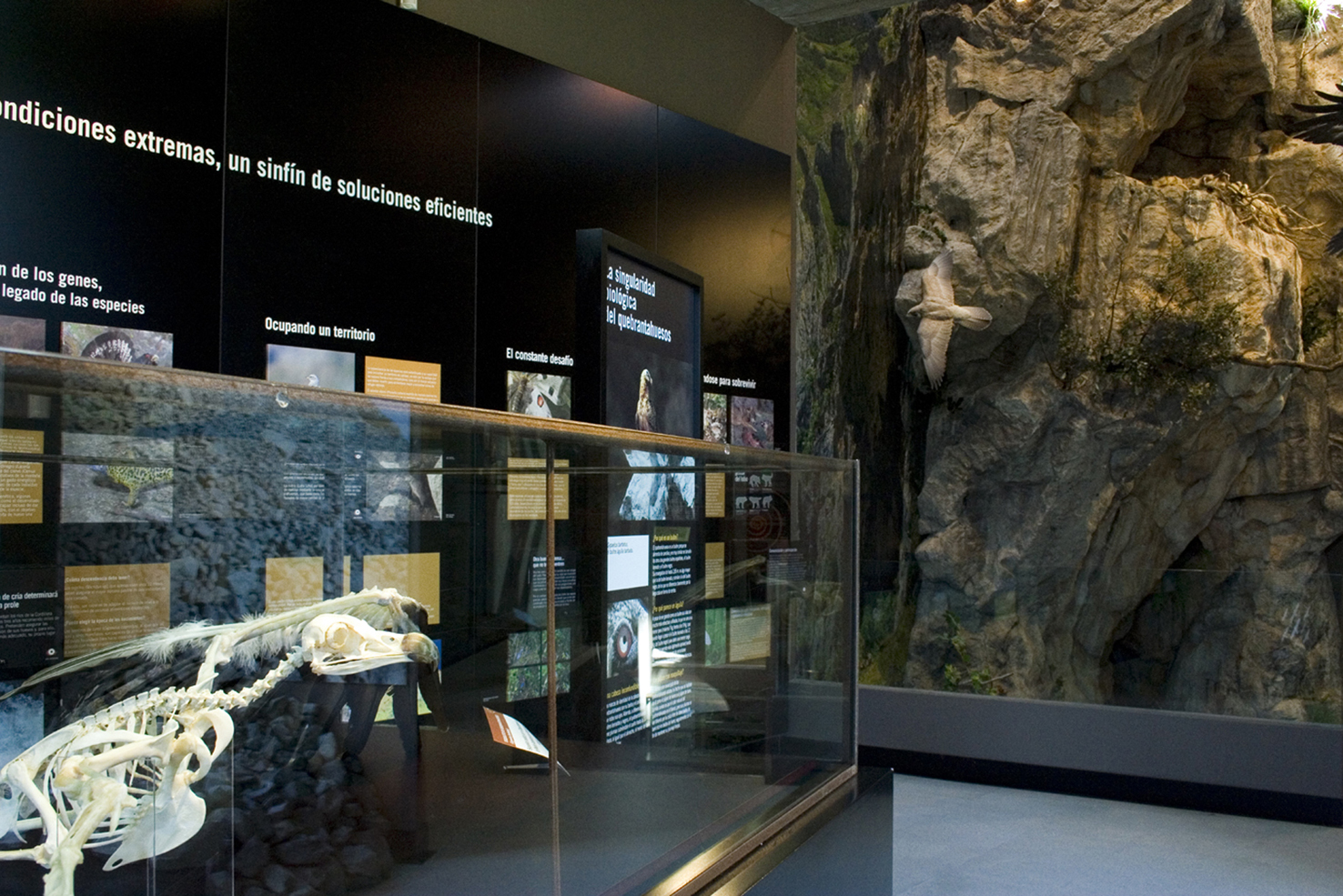 Imagen del Centro "Las Montañas del Quebrantahuesos"