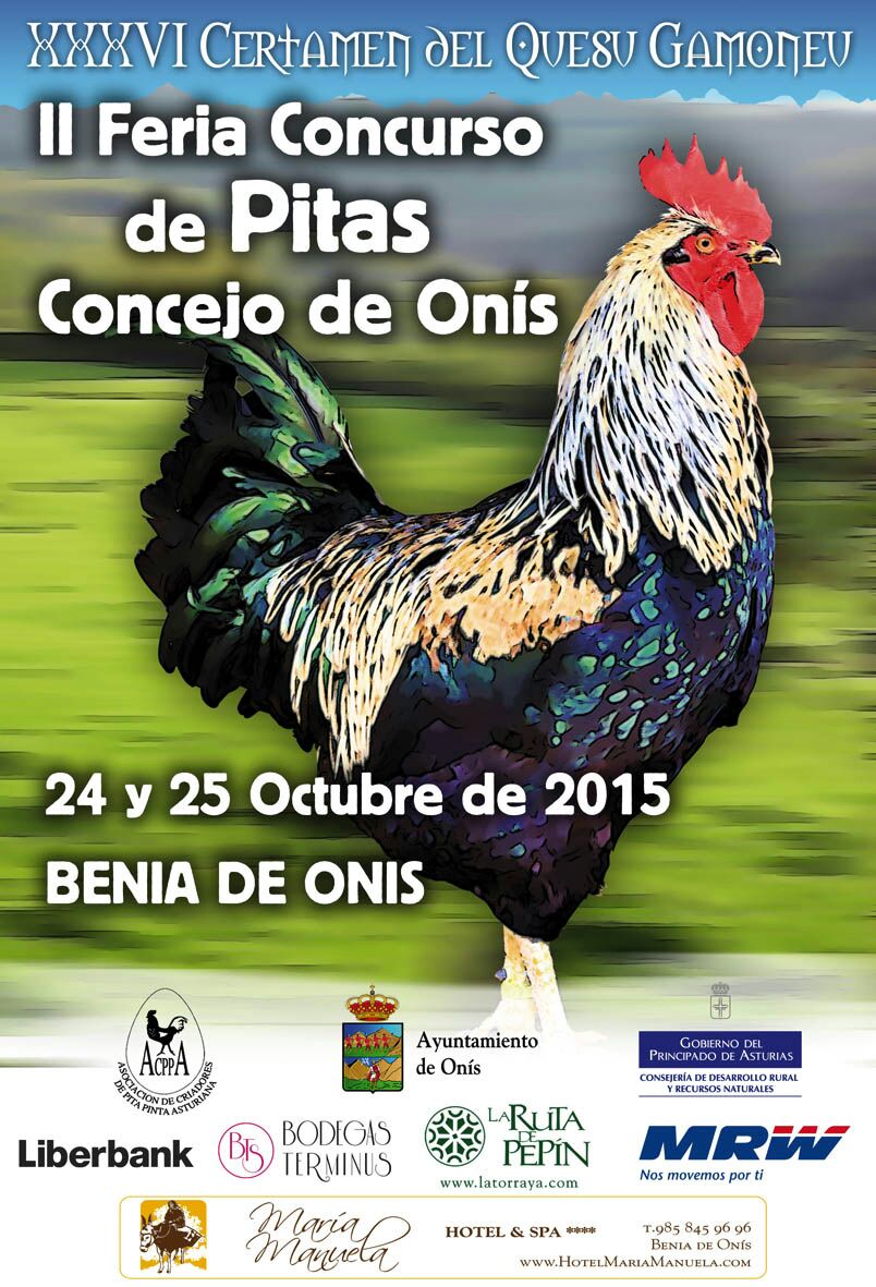 Cartel de la II Feria Concurso de Pitas